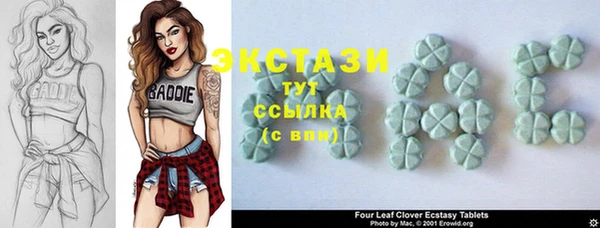 стаф Абинск