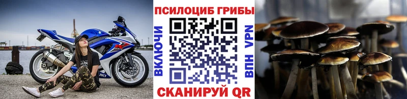 Псилоцибиновые грибы Psilocybine cubensis  сайты даркнета наркотические препараты  Дегтярск 